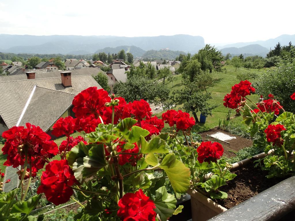 Garden Apartments Maria Bled Exterior photo